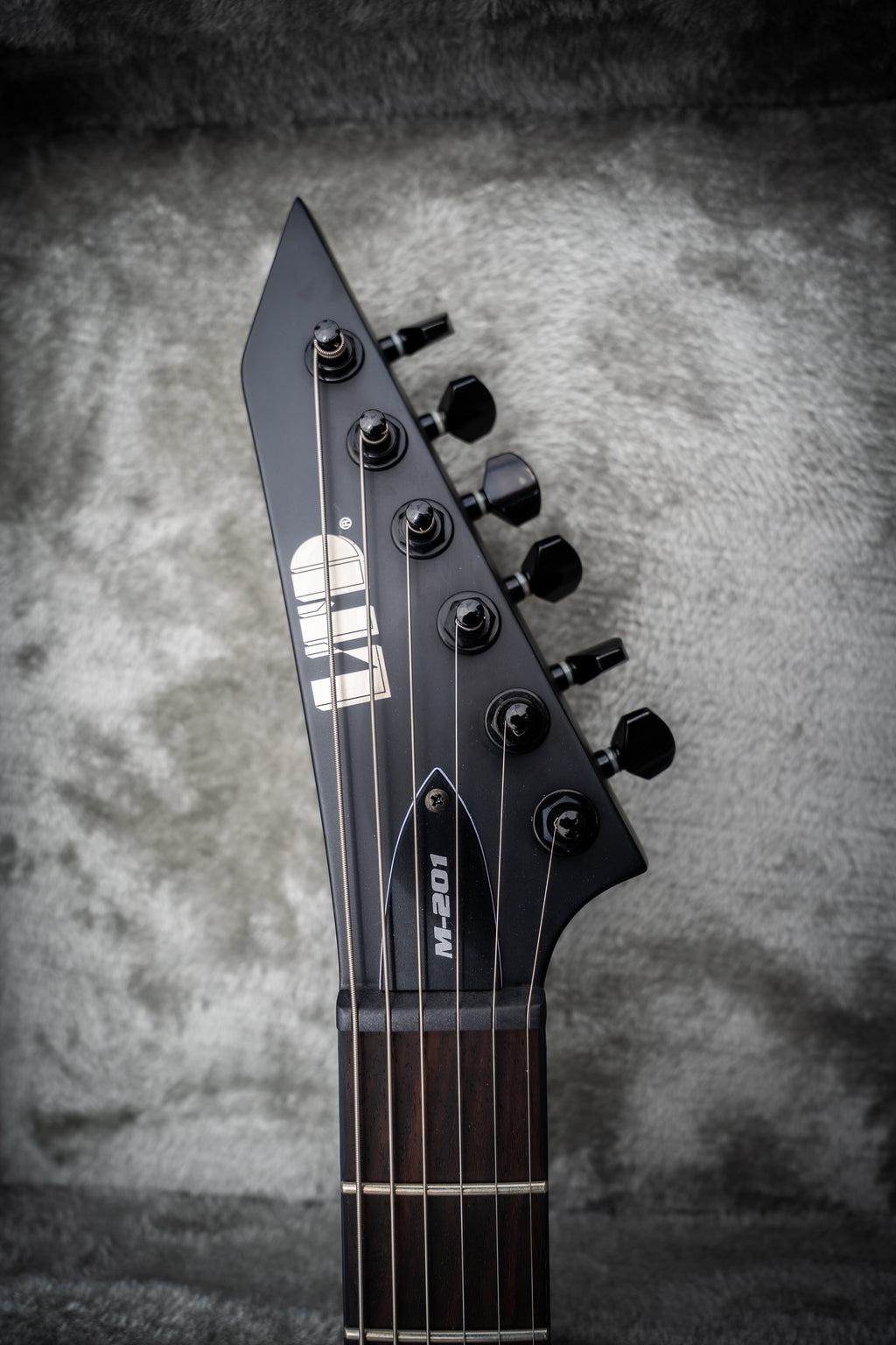 Signed Guitar (LTD M-201HT)