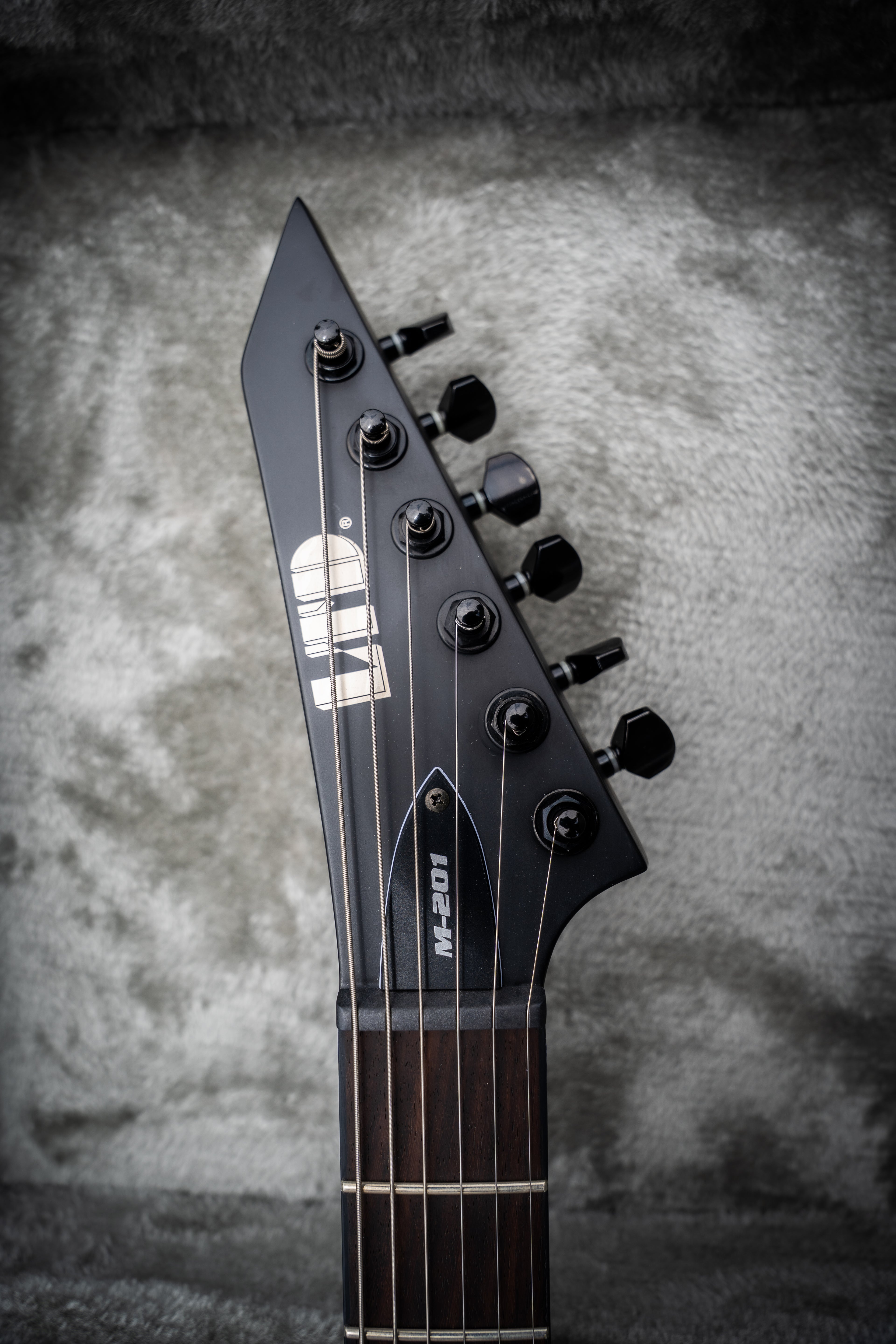 Signed Guitar (LTD M-201HT)