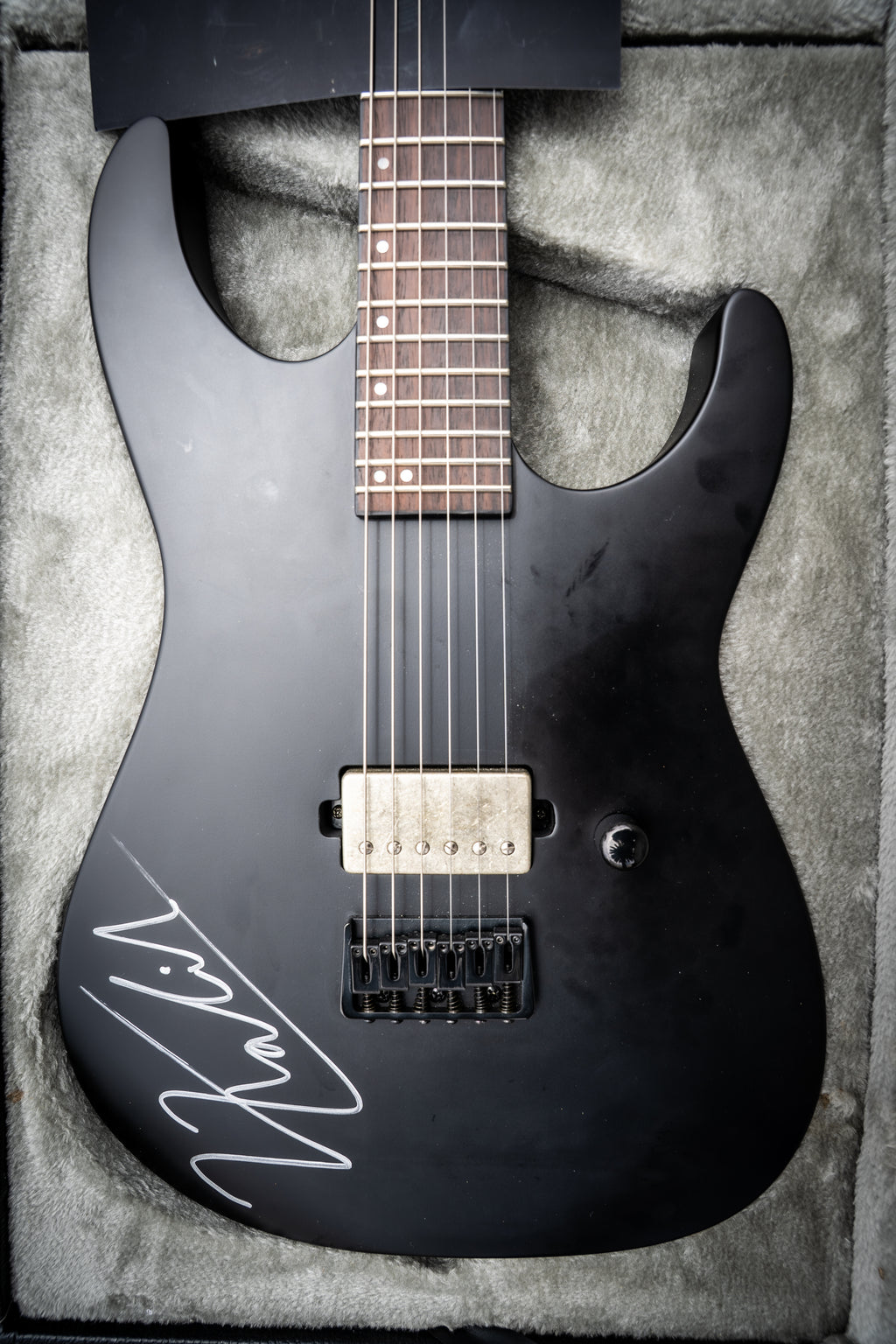 Signed Guitar (LTD M-201HT)