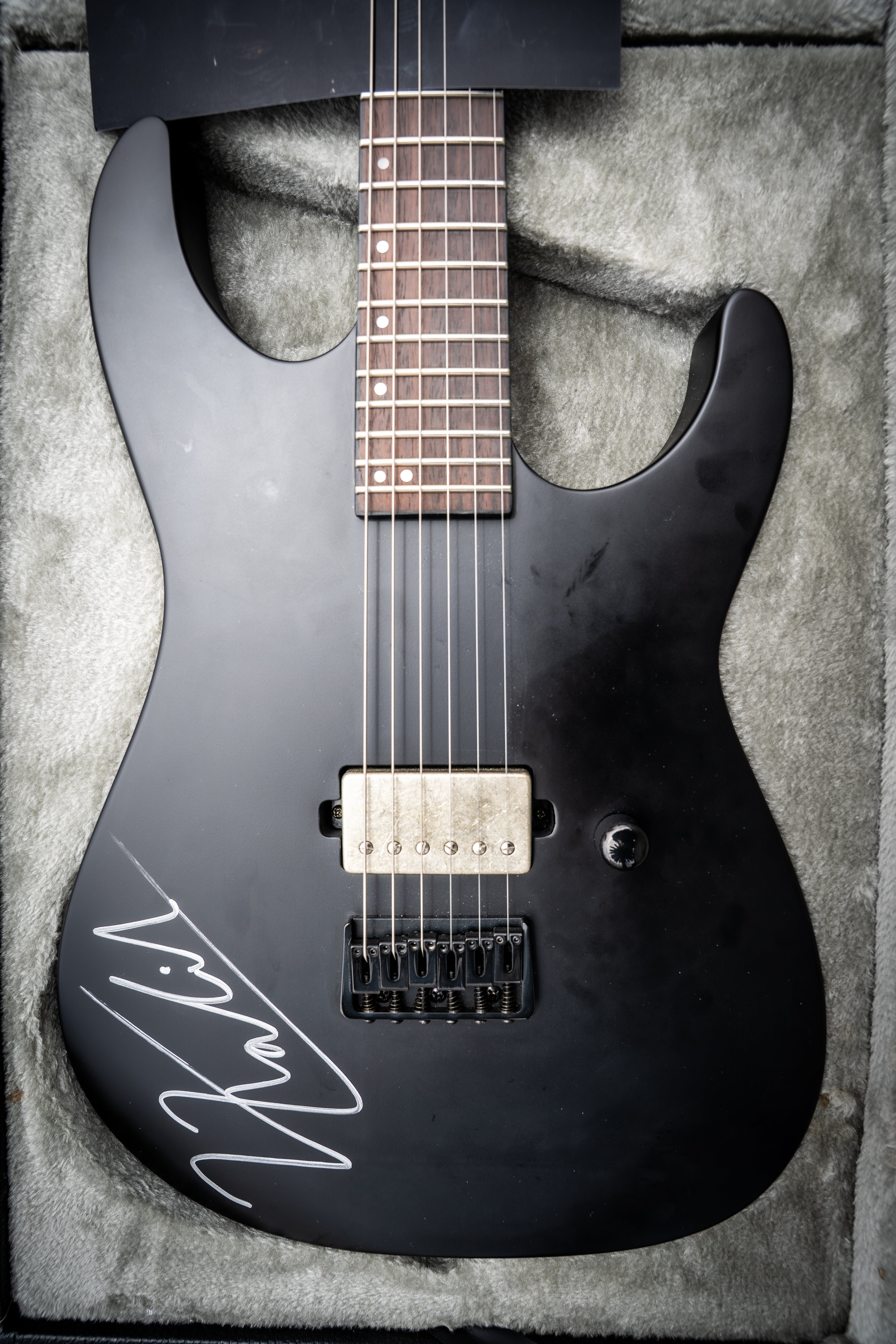 Signed Guitar (LTD M-201HT)